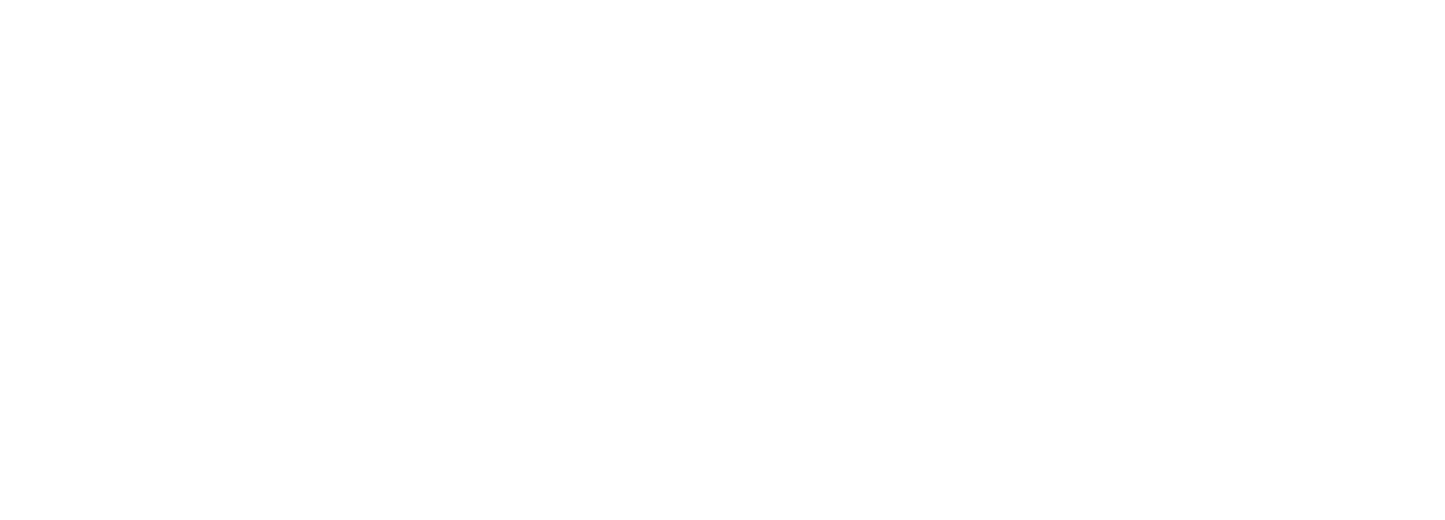 Virtuscan Logo